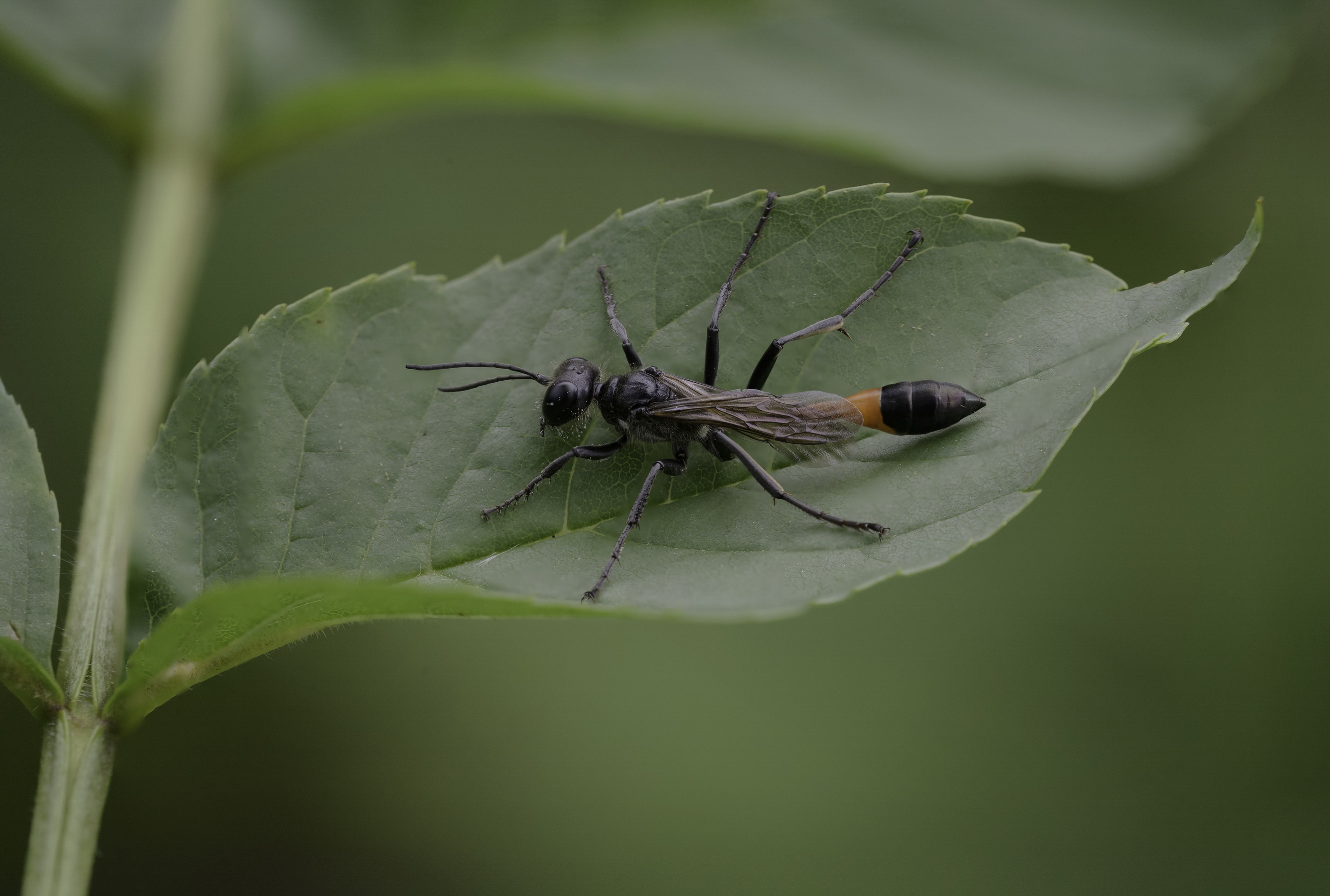 Preparing for Motherhood