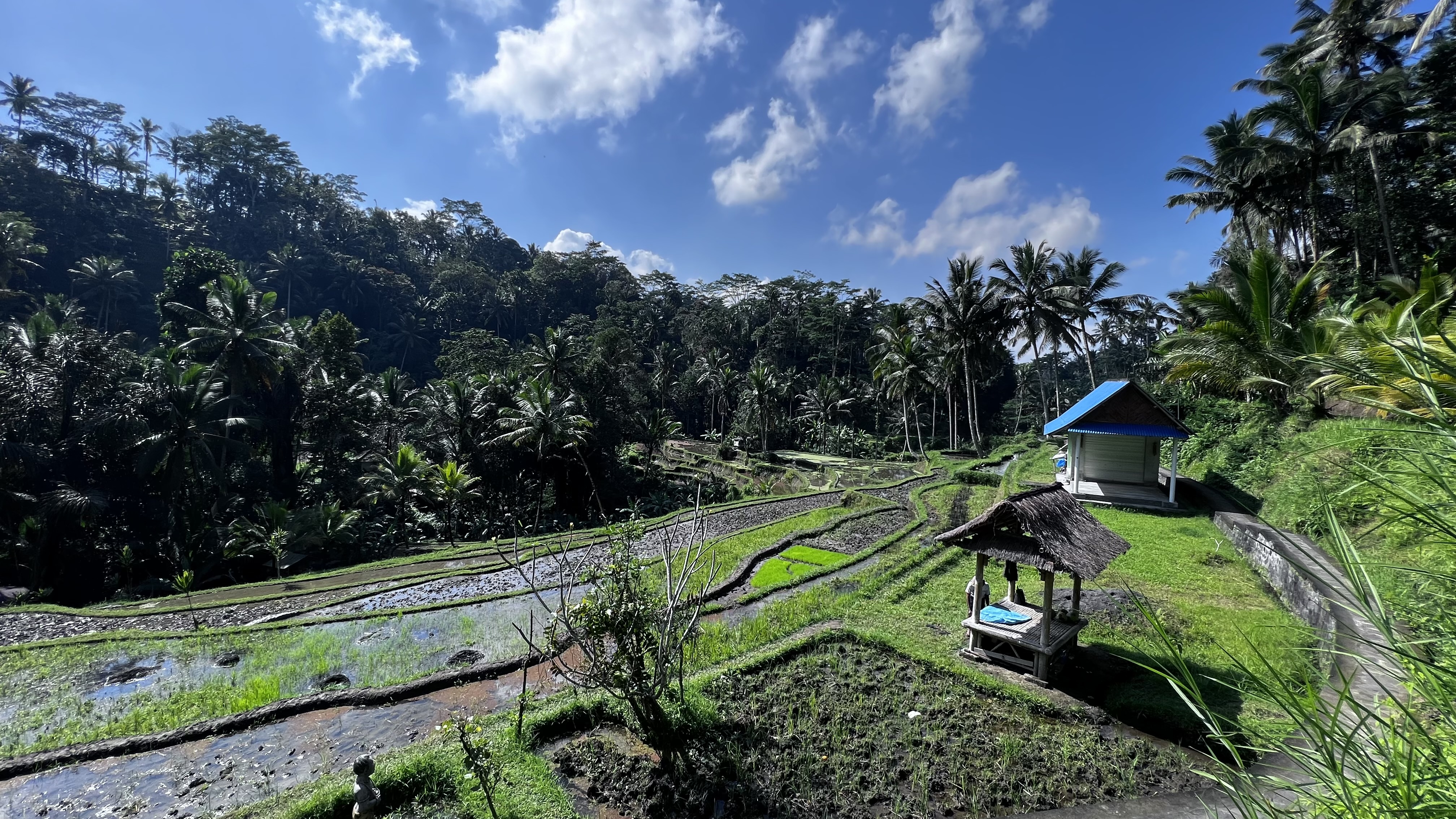 Unveiling the Hidden Gems: A Journey Beyond The Ordinary