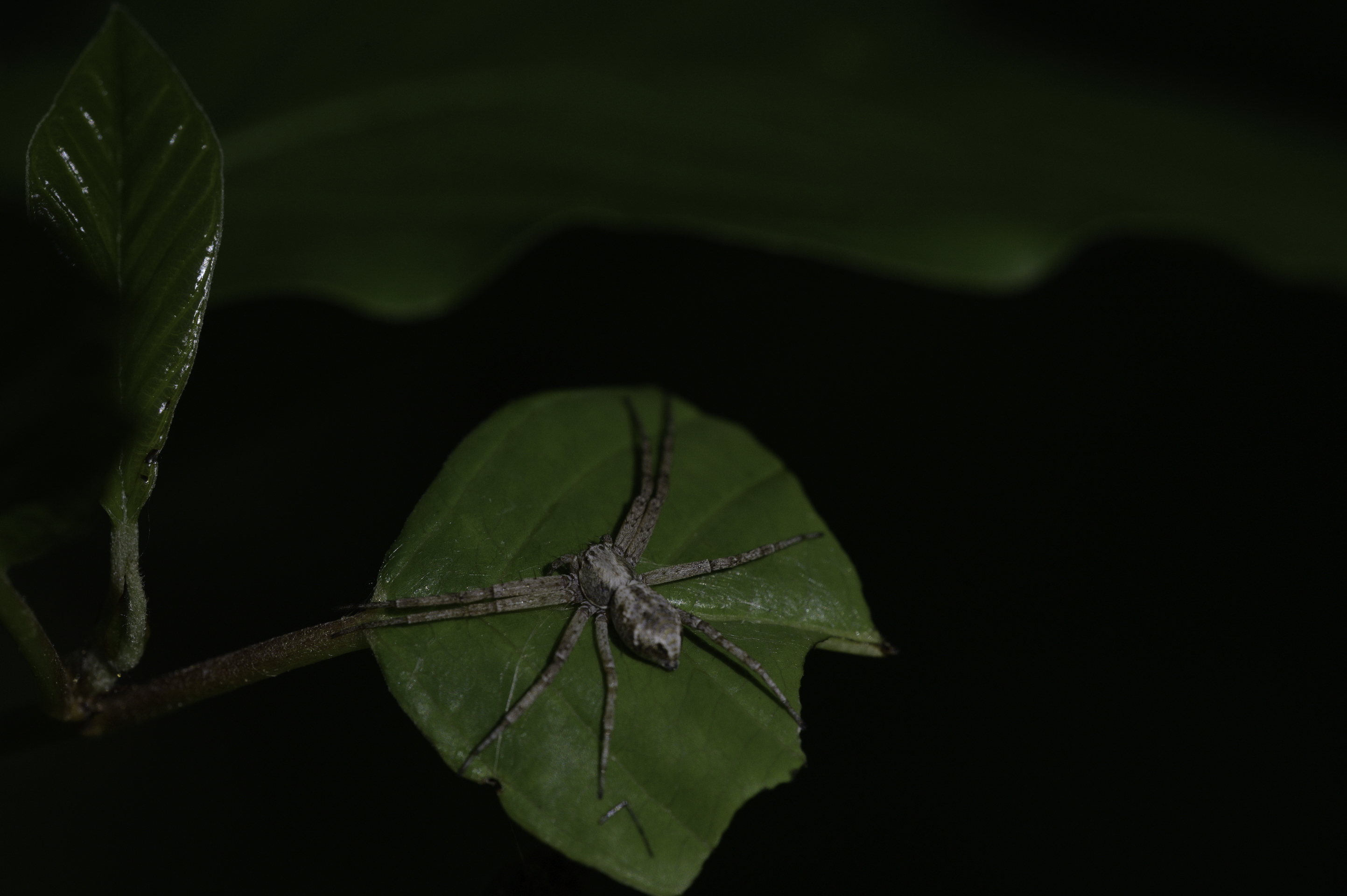 Unwinding in Paradise: 5 Tips for a Blissful Solo Escape