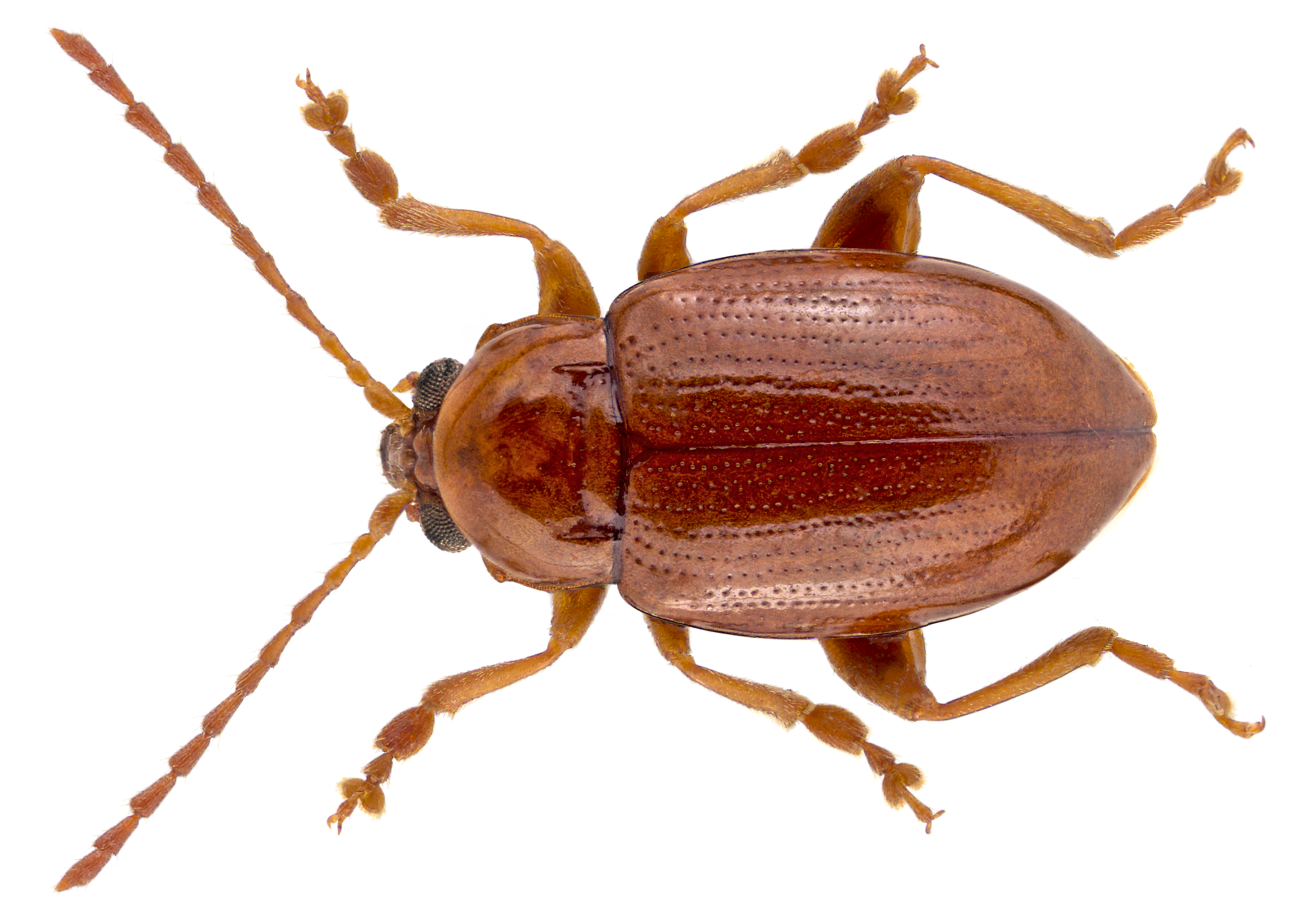 Which Countries on the Mediterranean Can You Live In?