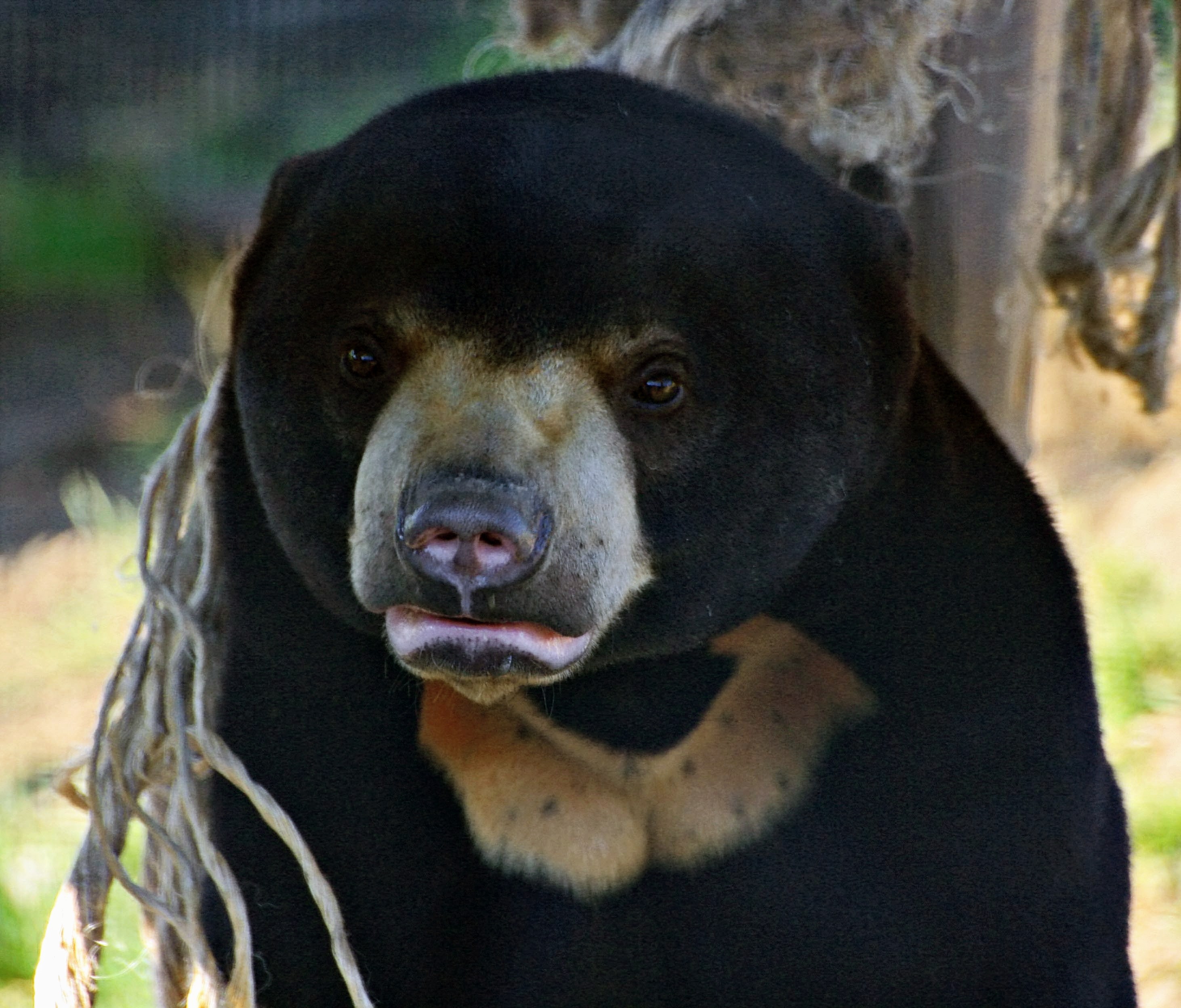 Why Southeast Asia Makes Sense for Digital Nomads